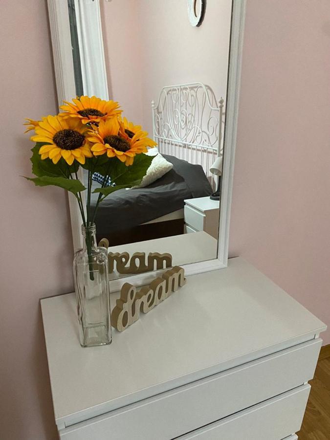 Apartment Sunflower021 Novi Sad Exterior photo